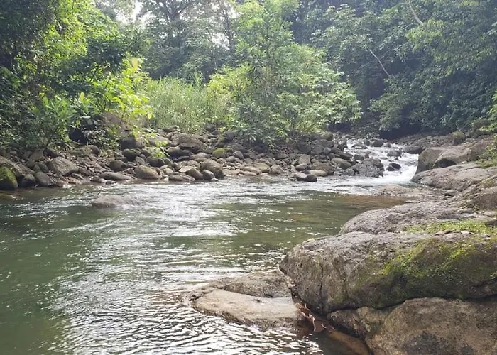 Cabina Gan Eden - Walking Distance From River