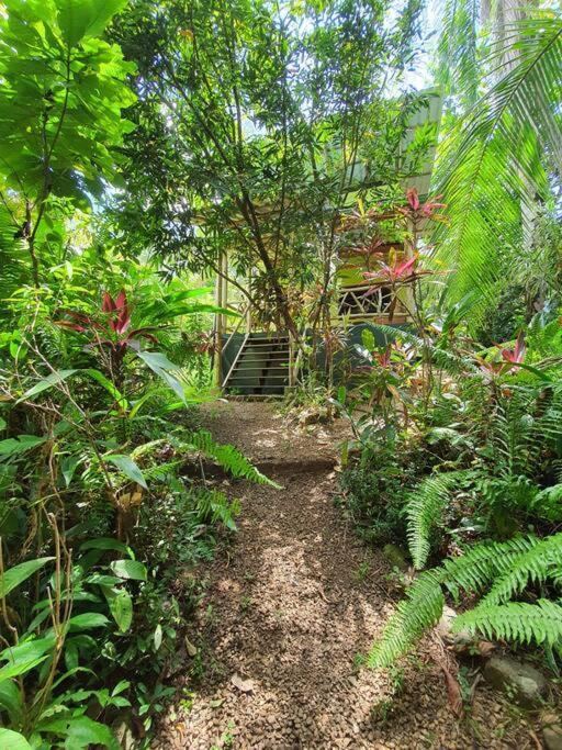 Gan Eden - Walking Distance From River *