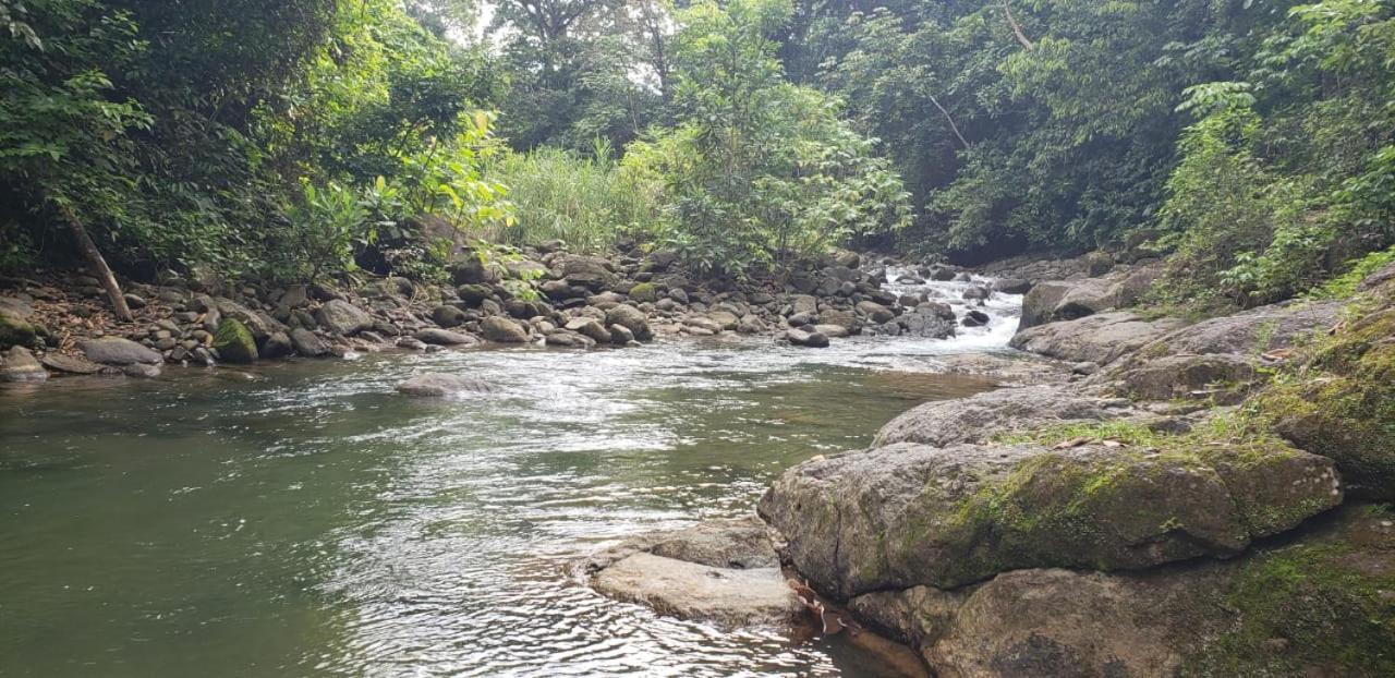 Apartment Gan Eden - Walking Distance From River *
